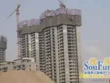 蓝馨花园 小高层 好楼层 南北通透 炼二 八十二 随时看