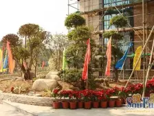 海力花园 1室1厅 东北