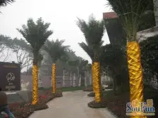 观音桥 光华观府国际二房85万