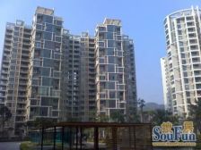 大儒世家,电梯三房,朝南位置有带一个露台