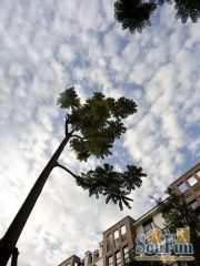 棠湖泊林小镇3室2厅南