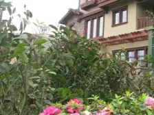 鸳鸯 融科橡树澜湾二期三房500万