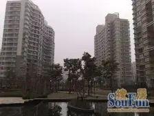 电梯房,小户型,品质小区,交通便利,精装修