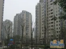 三林明星楼盘 小区楼枉位置 俯瞰花园 前后无遮挡