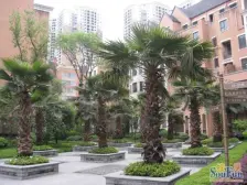 带露台!天梨路轻轨站旁!业主安心出售!