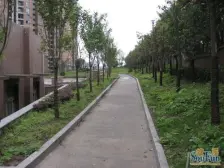 蓝溪谷地 正规两房 诚心出售 看房方便价格可议