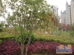 西点公园里3室2厅南北