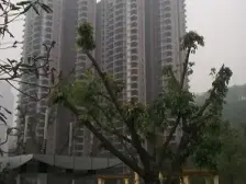 沙滨路 宝嘉江枫美岸一房48万