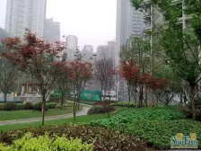 江枫美岸一线看江的三房,视野好采光好。