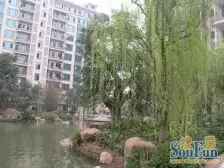 人和 恒大华府三房329万