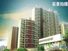 尚林家园1室1厅东南