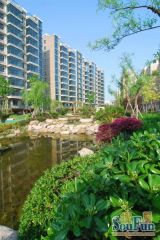 黄金海岸中层靠河采光好业主好沟通