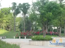 采光充足,房东诚心卖,视野开阔,小区环境好