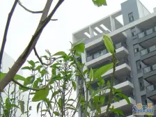 六公里轻轨旁 精装小三房 业主诚心出售 交易方便