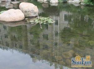 109平的楼层好,视野采光好,精装修,保养好