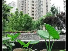 翡翠天麓精装三房 低楼层看中庭 安静 适合居住