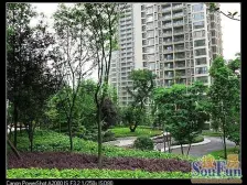 渝中区难得的高品质小区,大户型精装修,大横厅,看湖