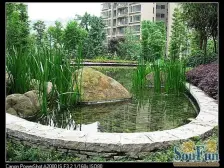 重庆天地,小高层看江2房,二次装修20W,安心卖!