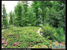 重庆天地带花园看湖大平层 板式结构 装修保养好