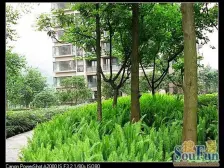 翡翠天麓 5室2厅 东南