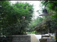 天江鼎城博园 4室2厅 东南 南