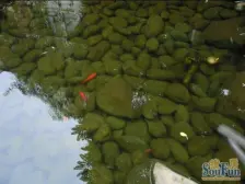 龙头寺 天江鼎城雅园四房180万