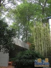 西府少城 2室1厅 东南