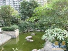 兴元绿洲一期 1室1厅 西南