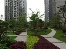 二郎 金科云湖天都四房135万