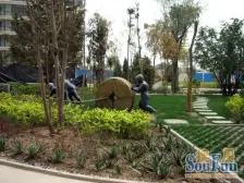 时代伟业 三室两厅 南北通透 客厅主卧朝南 落地窗