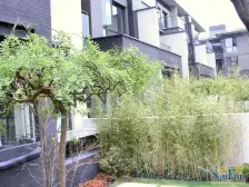 绿地上河院5室南朝向1600.00万元/套出售