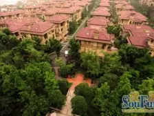 鸳鸯 复地城就三房