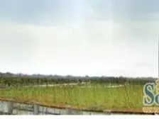 川沙 · 欧泊圣堡 · 9室 · 2厅