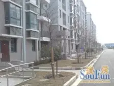 16、18号线张江南 纯毛坯大三房 看房有钥匙 看中可谈