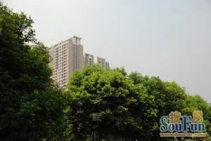 西西学府里3室1厅东南