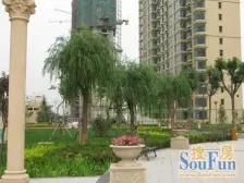 急售 罗马花园 大两室 前排河景房 采光好 全明户型