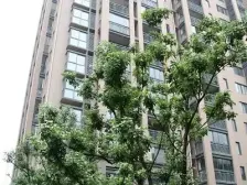 姑苏留园西园寒山寺旁边,鑫苑景园1室1厅