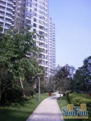 大城际 3室2厅 南