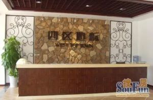 西区地标3室2厅西南