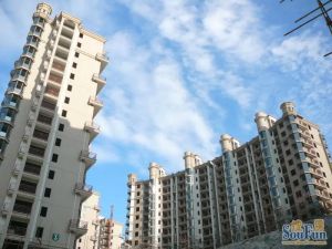 日韵东方独栋别墅有车位有院子毛坯房