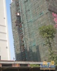 楚天中苑3室2厅南