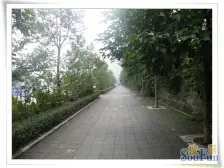 隆鑫花漾湖 3室1厅 南 北