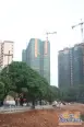 工程进度实景图（2009-11）