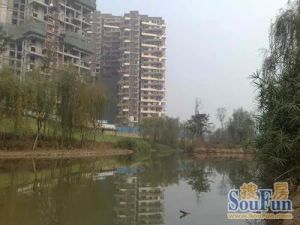 观澜东山3室2厅南