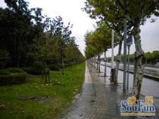 电梯房,大开间,品质小区,环境优美,诚意出售