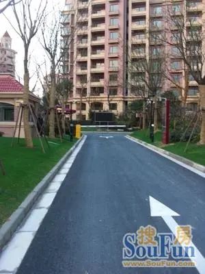  ���⡤���򡤱��������Ԣ��2�� 