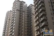 实景图（2009-12）