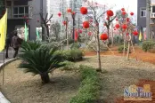 园林实景（2009-12）