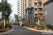 园林实景（2009-12）