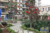 园林实景（2009-12）